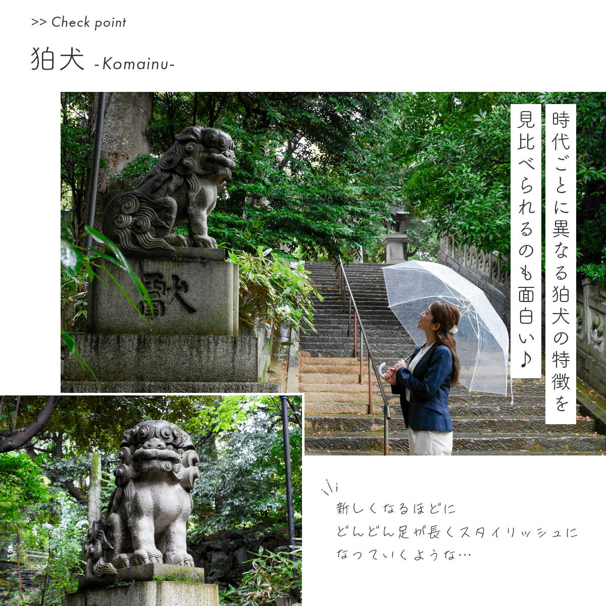赤坂氷川神社　狛犬
